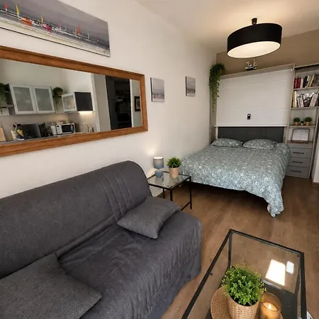 Climatise Avec Piscine, Tennis Et Parking Gratuit アグド